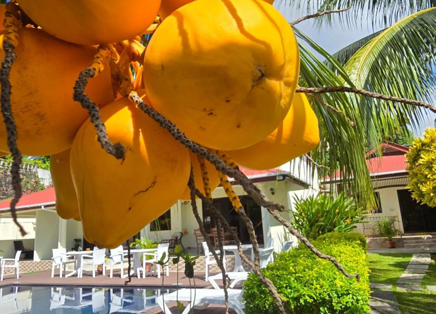 Appartamento Emma'S Guest House And Self-Catering Au Cap